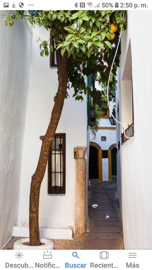 Centro-Mezquita 4 A 8 Huespedes Apartment Кордоба Екстериор снимка